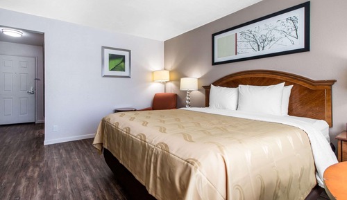 Habitación individual estándar, 1 cama de matrimonio grande