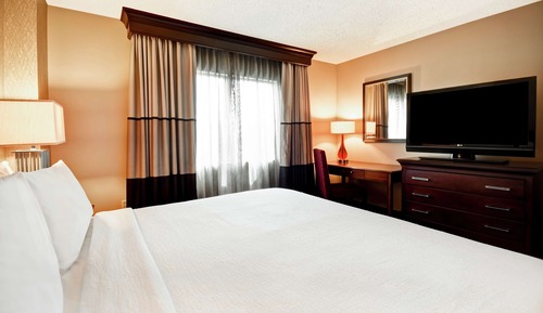 Suite, 1 cama de matrimonio grande con sofá cama (Roll-In Shower)