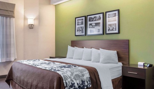 Habitación estándar, 1 cama de matrimonio grande, no fumadores