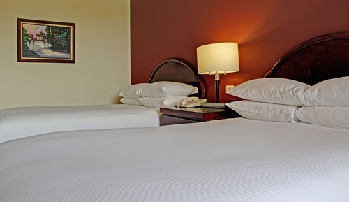 Habitación estándar, 2 camas dobles