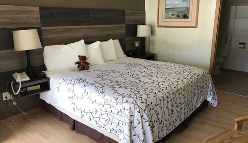 Habitación individual estándar, 1 cama de matrimonio grande, frigorífico y microondas