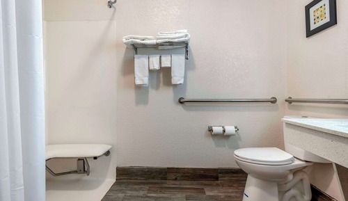 Habitación, 1 cama de matrimonio grande, accesible para personas con discapacidad, no fumadores