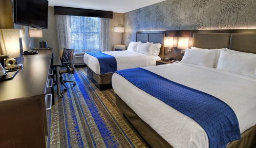 Habitación estándar, 2 camas de matrimonio (Communications)