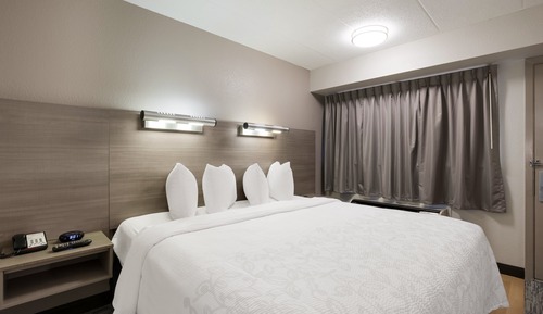 Habitación superior, 1 cama de matrimonio grande (Roll-In Shower, Smoke Free)