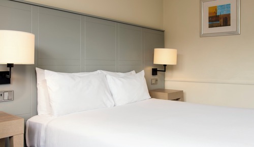Habitación estándar, 1 cama doble