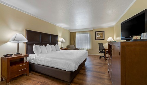 Habitación estándar, 1 cama de matrimonio grande, no fumadores, frigorífico y microondas