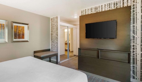 Suite, 1 cama de matrimonio grande, no fumadores, cocina básica (with Sofabed)