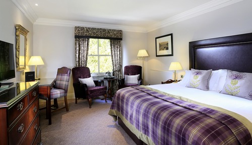 Habitación estándar, 1 cama de matrimonio grande (Standard King)