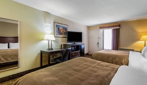 Habitación estándar, varias camas, no fumadores (3 Queen Beds, Pet Friendly)