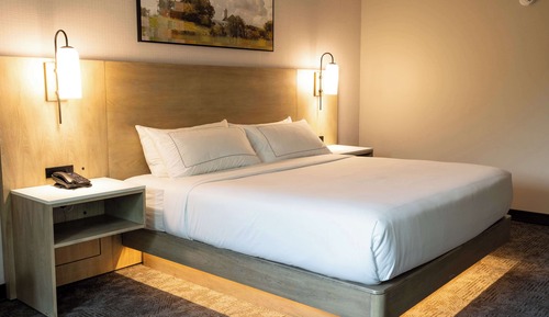 Habitación, 1 cama de matrimonio grande