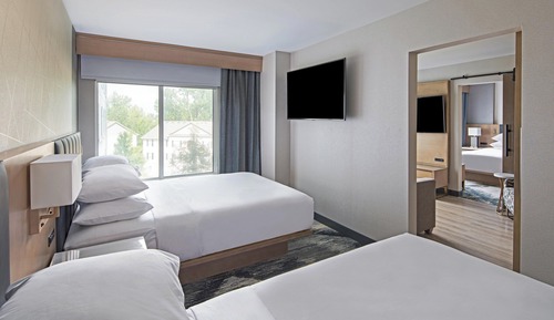 Suite, 1 cama de matrimonio con sofá cama