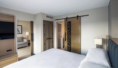Suite, 1 cama de matrimonio grande con sofá cama