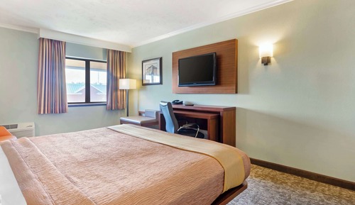 Habitación estándar, 1 cama de matrimonio, no fumadores, frigorífico y microondas