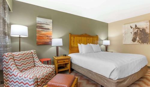 Habitación estándar, 1 cama de matrimonio grande, no fumadores