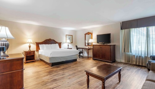 Suite Business, 1 cama de matrimonio grande, no fumadores (1st Floor;with Sofabed)