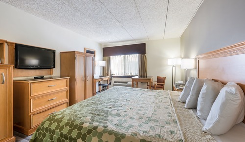 Habitación estándar, 1 cama de matrimonio grande, no fumadores
