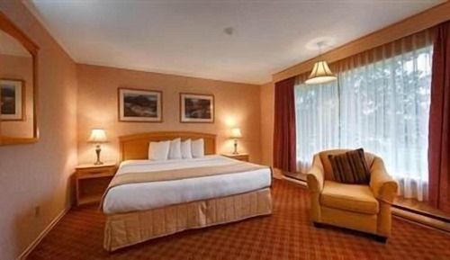 Habitación ejecutiva, 1 cama de matrimonio grande con sofá cama