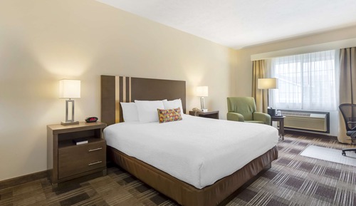 Suite, 1 cama de matrimonio grande, no fumadores, cocina (Living Room, Full Kitchen)