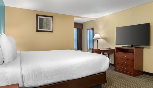 Habitación estándar, 1 cama de matrimonio grande, no fumadores, microondas