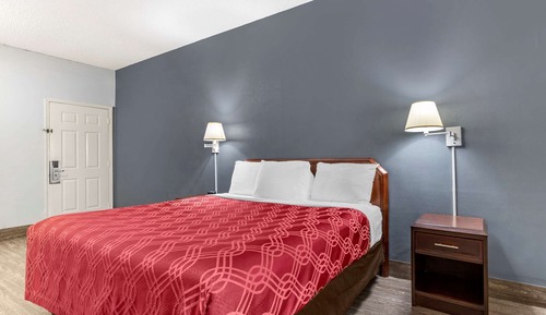 Habitación estándar, 1 cama de matrimonio grande