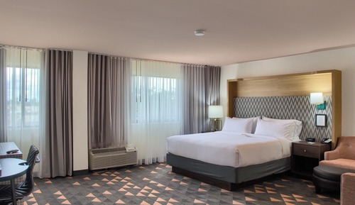 Habitación estándar, 1 cama de matrimonio grande