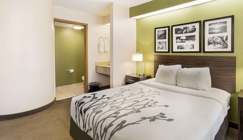 Habitación estándar, 1 cama de matrimonio, no fumadores