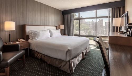 Habitación estándar, 1 cama de matrimonio grande