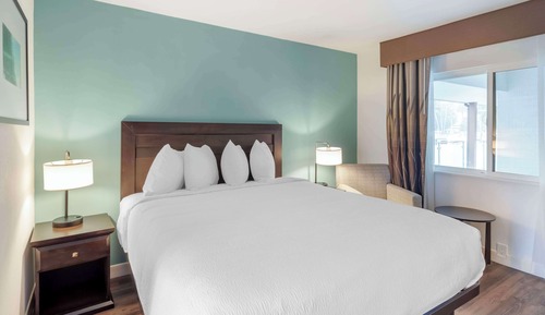Habitación estándar, 1 cama de matrimonio grande, no fumadores, frigorífico