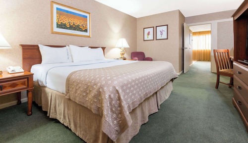 Habitación, 1 cama de matrimonio, accesible para personas con discapacidad (Non-Smoking)