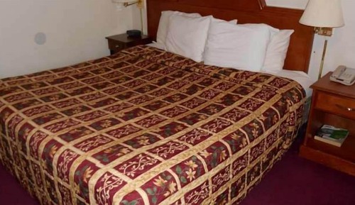 Habitación Premium, varias camas, no fumadores