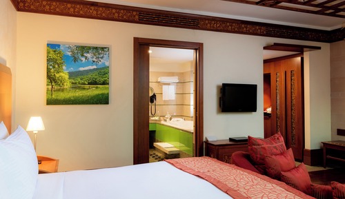 Habitación Premium, 1 cama de matrimonio grande