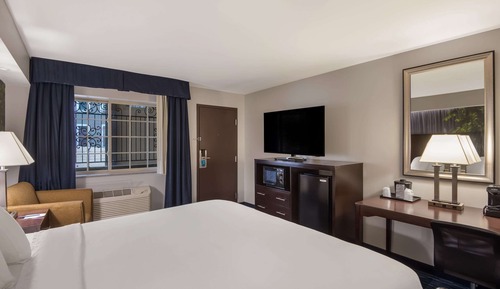 Habitación estándar, 1 cama de matrimonio grande, no fumadores