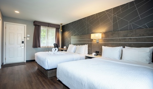 Habitación estándar, 2 camas de matrimonio, no fumadores, en edificio anexo (1st Floor;Pet Friendly)