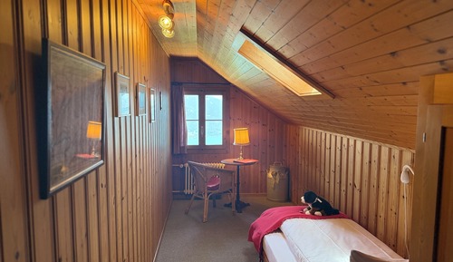 Habitación individual básica, baño privado, vistas al lago