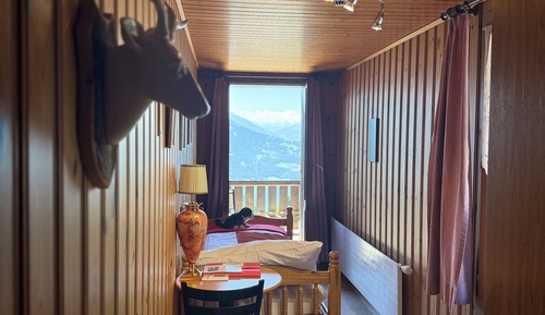 Habitación individual, baño privado, vistas a la montaña