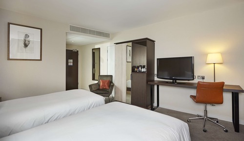 Habitación Deluxe con 2 camas individuales, accesible para personas con discapacidad, con vistas