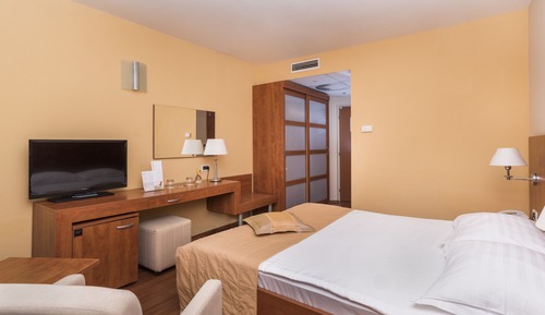 Habitación económica (French bed park side)