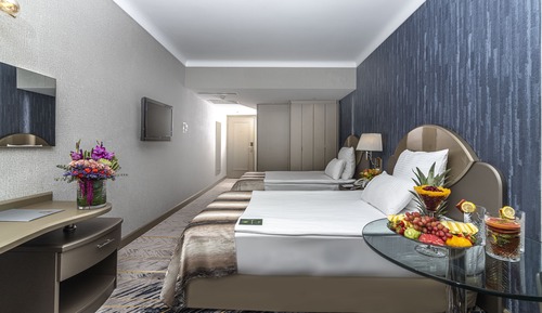 Habitación Premium con 1 cama doble o 2 individuales