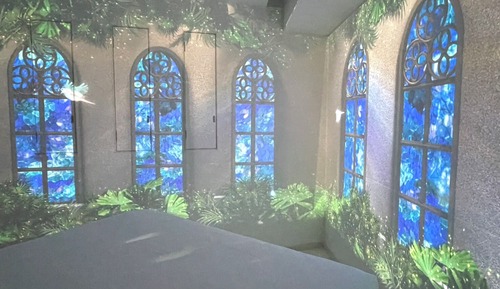 Habitación (Exclusive 3D Projection Mapping, 1FL)