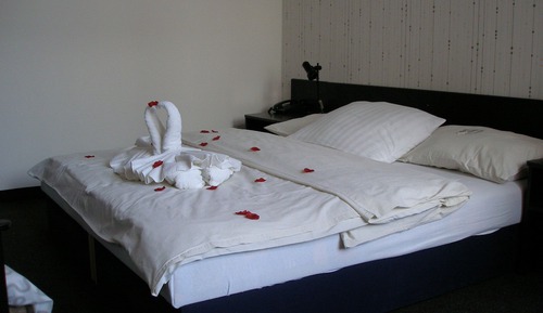 Habitación individual estándar