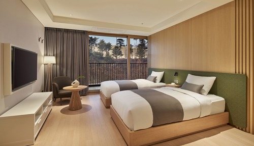 Habitación Deluxe con 2 camas individuales