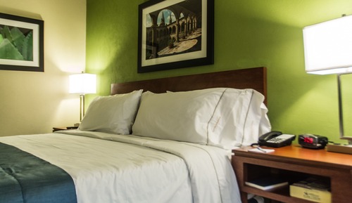 Habitación estándar, 1 cama de matrimonio grande, accesible para personas con discapacidad