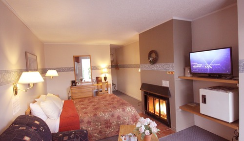 Habitación básica, 1 cama de matrimonio con sofá cama, chimenea, vistas a la montaña