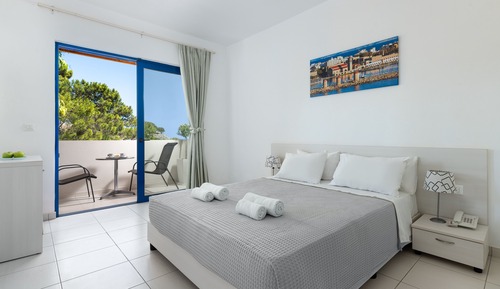 Habitación Deluxe con 1 cama doble o 2 individuales