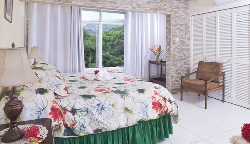 Habitación estándar doble, 1 cama de matrimonio grande (in Townhouse)