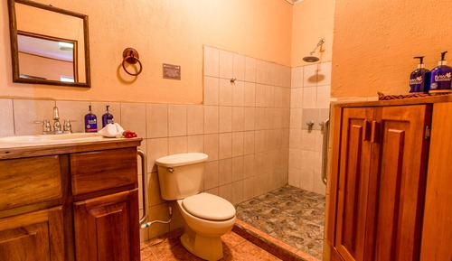 Habitación doble superior, 1 cama de matrimonio, baño privado