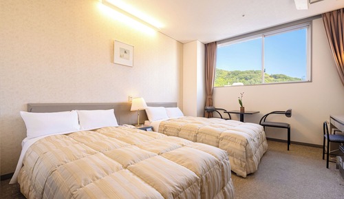 Habitación estándar con 2 camas individuales, no fumadores
