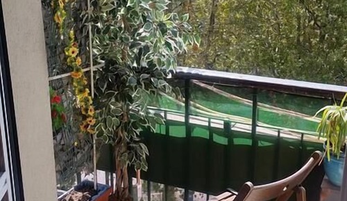 Habitación básica