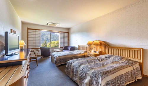 Habitación estándar con 2 camas individuales, no fumadores