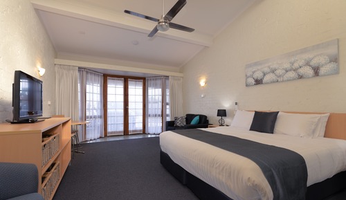 Estudio estándar, no fumadores, cocina básica (Studio Apartment)